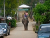karen-ruammit-village-elephants-10