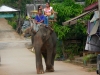 karen-ruammit-village-elephants-11