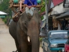 karen-ruammit-village-elephants-12