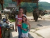 karen-ruammit-village-elephants-2