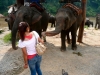 karen-ruammit-village-elephants-3