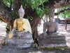 wat-si-ping-muang-008