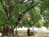 wat-si-ping-muang-010