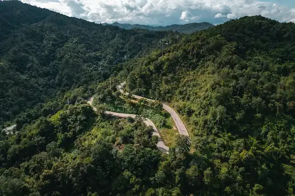 mountain-road-green-trees mouantain road green trees